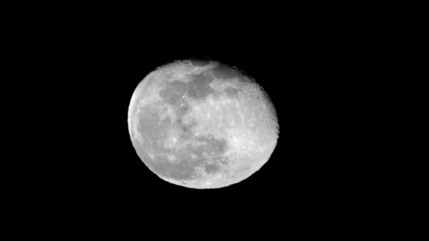 Супер повний Місяць обличчям з його долинами і кратерами. Страшний повний Місяць з дуже деталізованою поверхнею Місяця з долинами і кратерами. Підходить для страху, страшних і жахливих сцен. Ніч вовка, ніч Хеллоуїна, кошмар
. - Кадри, відео