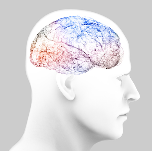 Neurologia, filosofia, medicina do futuro: conexões neurais, o desenvolvimento do pensamento e da reflexão, como desenvolver as infinitas possibilidades do cérebro e da mente. Anatomia humana, 3d render
 - Foto, Imagem