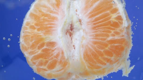 mandarina super macro de cerca. Las mandarinas frescas de gran color vibrante en el agua
 - Metraje, vídeo