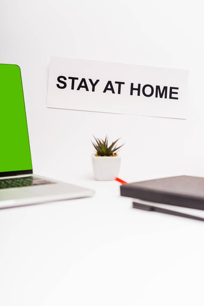 selective focus of laptop with green screen near plant, notebook, pen and paper with stay at home lettering on white  - Fotó, kép