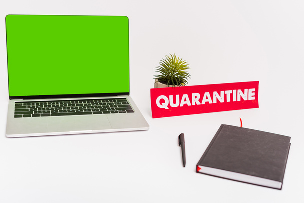 laptop with green screen near plant, pen, notebook and paper with quarantine lettering on white  - Foto, afbeelding