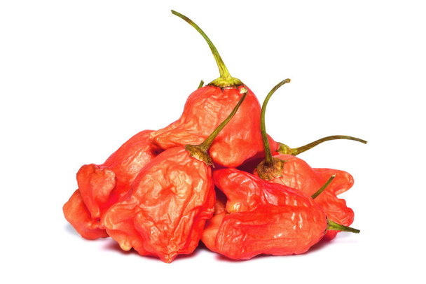 Heap of capsicum Baccatum Chilli also known as Christmas bell isolated on white background - Photo, Image