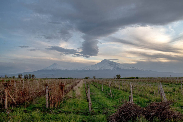 Famosa montanha Ararat, símbolo da Armênia
 - Foto, Imagem