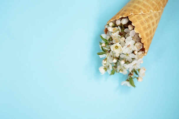 Ice cream cone with white flowers on a blue background. Minimal spring concept. Flat lay, floral background.Space for text - Fotoğraf, Görsel