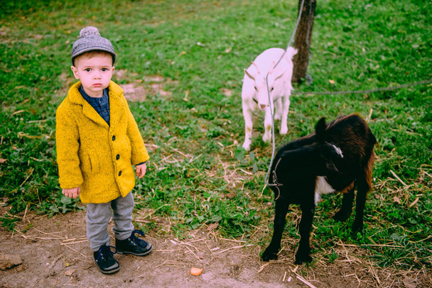 Little farm boy feeding the chickens and the goat in the countryside - Foto, Imagem