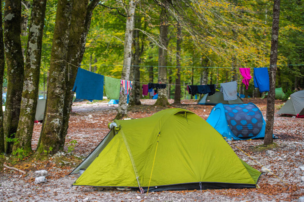 Verão no acampamento na floresta com tendas e lavanderia pendurada
. - Foto, Imagem