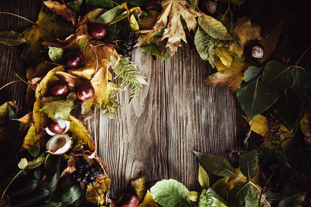Осінній дерев'яний фон з зеленим і жовтим листям плоскі
 - Фото, зображення