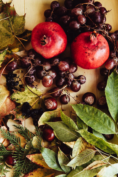 Bodegón de otoño. manzana, calabaza, granada, viburno, hojas
. - Foto, imagen