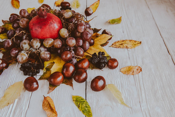 Autumn still life. apple, pumpkin, pomegranate, viburnum, leaves. - Foto, Imagem