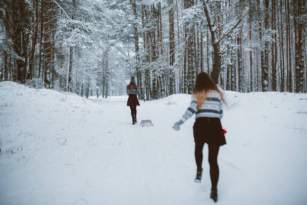 Kaksi nuorta teini hipster tyttö ystäviä yhdessä.Lähikuva muoti muotokuva kaksi sisarta halauksia ja hauskaa talvella, yllään villapaita, parhaat ystävät pari ulkona, luminen sää
 - Valokuva, kuva
