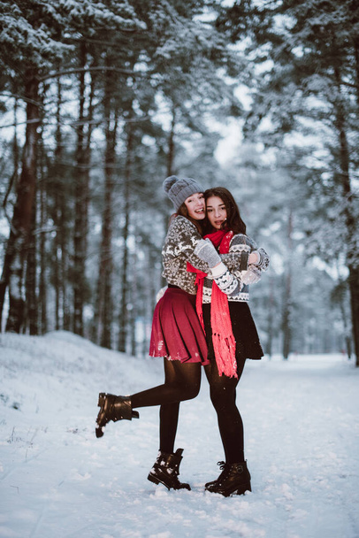 Δύο νεαρές έφηβες hipster φίλες μαζί.Κοντινό πλάνο πορτρέτο μόδας δύο αδελφές αγκαλιές και να διασκεδάσουν το χειμώνα, φορώντας πουλόβερ, οι καλύτεροι φίλοι ζευγάρι σε εξωτερικούς χώρους, χιονισμένο καιρό - Φωτογραφία, εικόνα