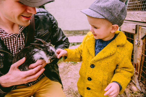 Little boy looking animal at farm in the countryside - Fotografie, Obrázek