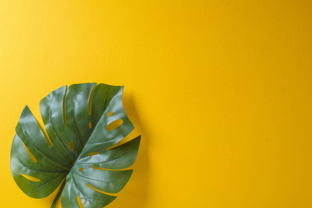 Tropical palm leaves on yellow background with copy space - Zdjęcie, obraz