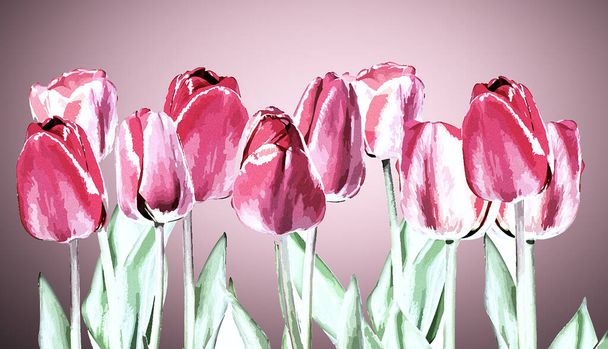Primavera tulipán fondo rojo acuarela ilustración
   - Foto, Imagen
