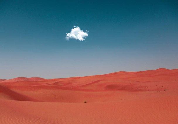 Una foto del desierto de Abu Dhabi. La soledad de la nube en el desierto. El problema climático del mundo está creciendo. Paisaje fotografía
. - Foto, Imagen