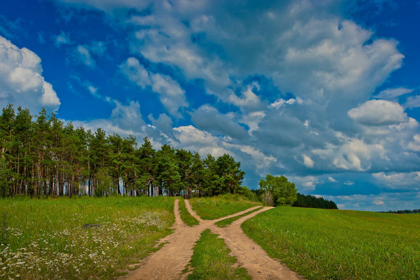 Venkovská země silnice v poli v slunečný den na pozadí mraků - Fotografie, Obrázek