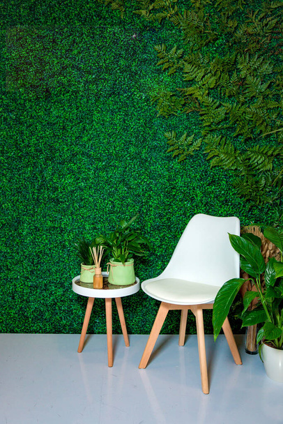 интерьер экологического дома с зеленой стеной с травой
 - Фото, изображение