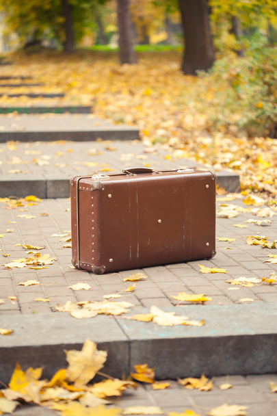 vintage suitcase on alley in autumn park - Fotó, kép