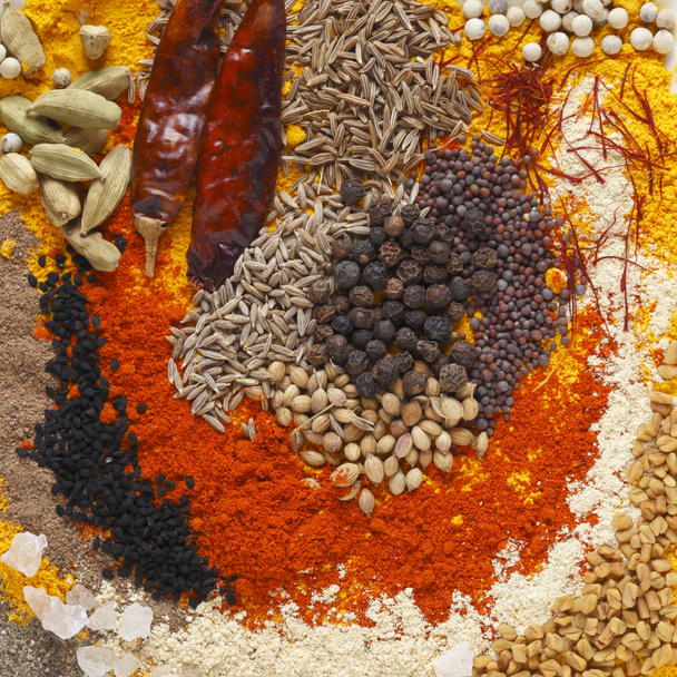 Curry spices - Photo, Image