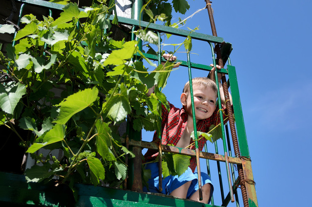 Pequeño niño emocionado jugando en un patio elevado
 - Foto, imagen