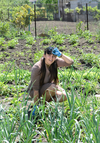glückliche junge Frau bei der Gartenarbeit an einem warmen, sonnigen Tag - Foto, Bild