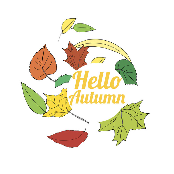 Vector illustration autumn leaves isolated on white - Vector, Image