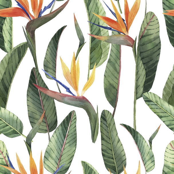 Pattern with beautiful watercolor tropical flowers and leaves. Tropics. Realistic tropical leaves. Tropical flowers. On white background - Foto, afbeelding