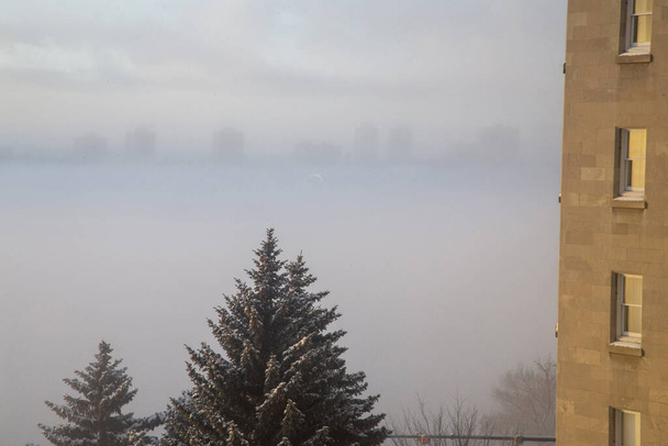 Hotel Macdonald Edmonton Sunrise over the foggy valley - Fotografie, Obrázek