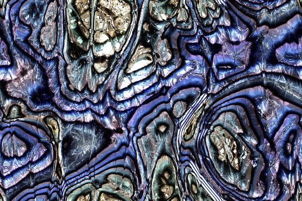 Large répétition motif nacre de mer
 - Photo, image