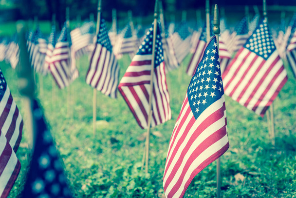 Ρηχό DOF επιλεκτική εστίαση πολλές αμερικανικές σημαίες γκαζόν οθόνη στο πράσινο γρασίδι για την Ημέρα Μνήμης - Φωτογραφία, εικόνα