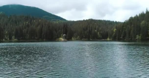 Turkuaz suyu ve yeşil ağaçları olan dağ gölü. Ukrayna 'daki Karpat Dağları' ndaki Synevir Gölü 'nün insansız hava aracı görüntüsü. 4k video. - Video, Çekim