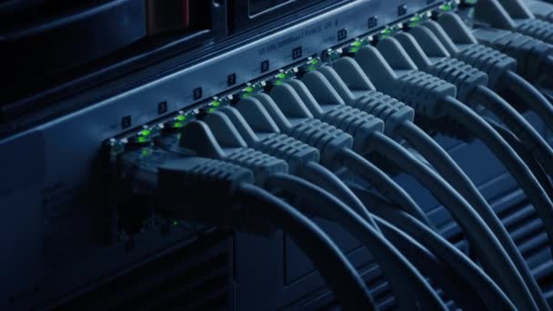 Macro Shot: Καλώδια Ethernet συνδεδεμένα με θύρες Router με φώτα που αναβοσβήνουν. Τηλεπικοινωνίες: RJ45 Internet Connectors Συνδέεται με Modem LAN Switches. Ασφαλές κέντρο δεδομένων εργασίας - Πλάνα, βίντεο
