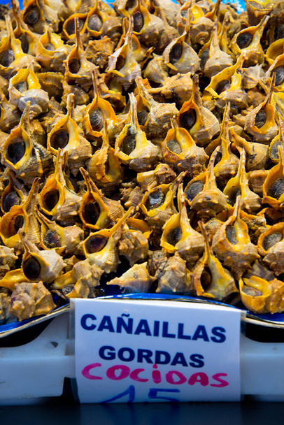 Морські слимаки Bolinus brandaris на ринкових сховищах у Кадісі, андалусії. - Фото, зображення