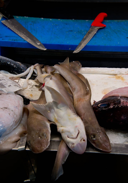 salmones de roca en el puesto del mercado de pescaderías en Cádiz, Andalucía, España
 - Foto, Imagen