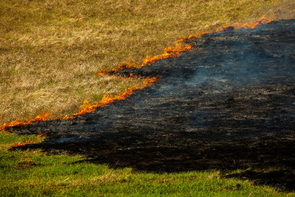 Καίγοντας παλιό ξηρό γρασίδι στον κήπο. Φλεγόμενο ξηρό γρασίδι σε ένα χωράφι. Πυρκαγιά. Stubble πεδίο καίγεται από τον αγρότη. Φωτιά στο πεδίο. - Φωτογραφία, εικόνα