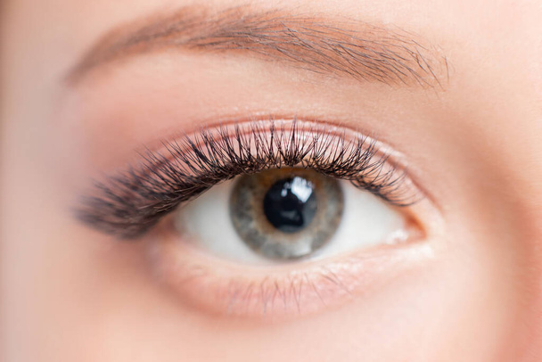 Macro photo woman with long lashes in beauty salon. Concept eyelash extension procedure - Foto, Imagem