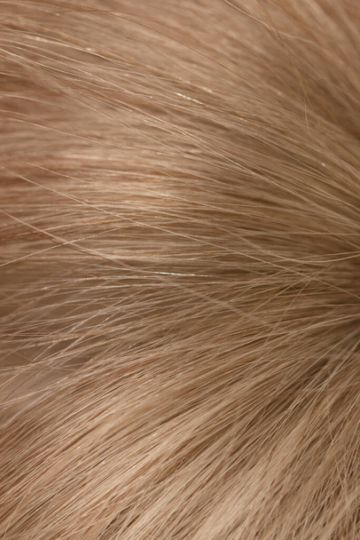 Blonde Haare als Hintergrund - Foto, Bild