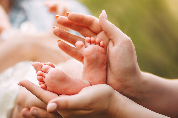 baby feet in hands, baby and mom - Foto, imagen