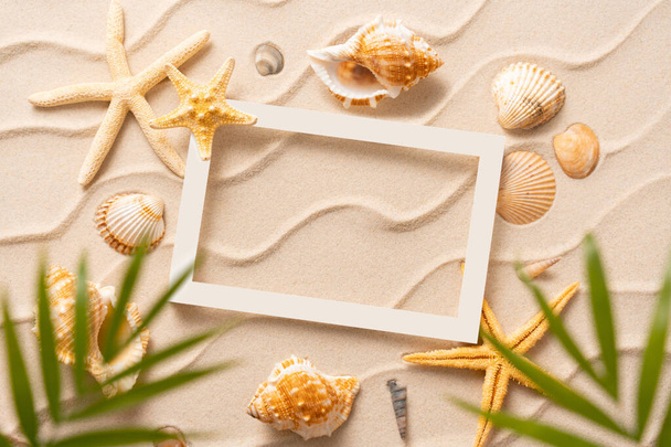 Літній пляжний фон, пісок, черепашки, узбережжя з розмитою пальмою, відпустка і подорожі концепт, Flat lay top view copy space - Фото, зображення