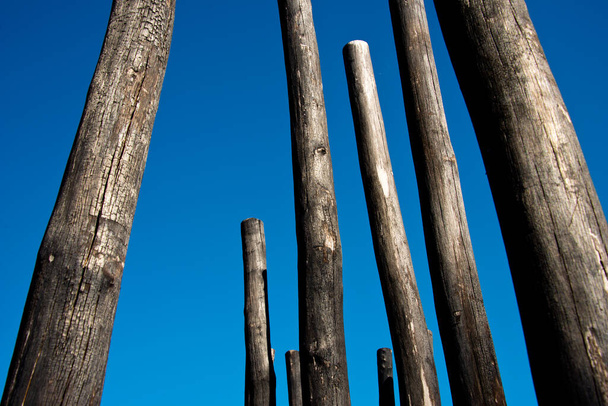 elszenesedett faoszlopok csoportja a kék ég ellen - Fotó, kép