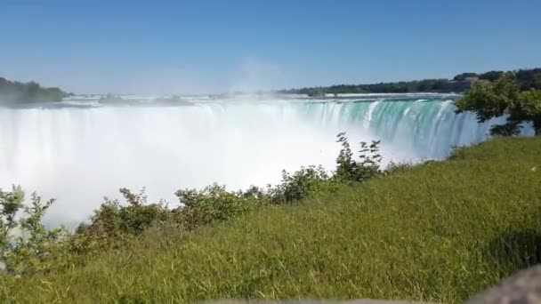 Der berühmte Wasserfall der Niagarafälle in Kanada - Filmmaterial, Video