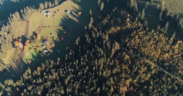 Renkli sonbahar ağaçları, tarlalar, Verkhovyna köyü Karpat Dağları yakınlarındaki vadi üzerinde manzaralı sonbahar renk ormanı. Muhteşem bir manzara. Güzellik dünyası. 4K - Video, Çekim