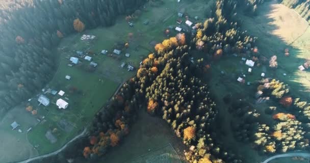 Φθινόπωρο δάσος χρώμα με θέα πάνω από πολύχρωμα δέντρα φθινόπωρο, χωράφια, κοιλάδα στο ηλιοβασίλεμα κοντά στο χωριό Verkhovyna Carpathian Βουνό, Ουκρανία. Μεγαλοπρεπές τοπίο. Ο κόσμος της ομορφιάς. 4K - Πλάνα, βίντεο