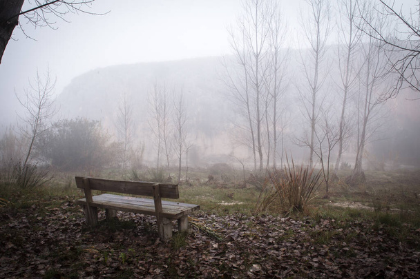banc dans la forêt avec brouillard
 - Photo, image