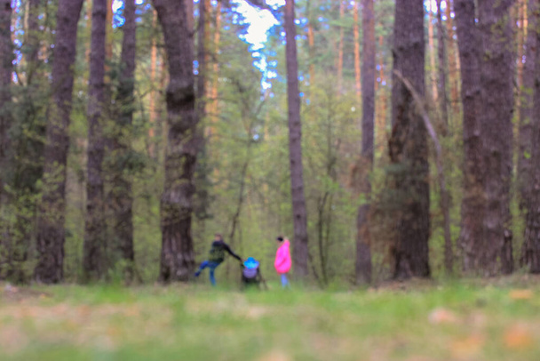 Uma jovem família com um bebê em um bonde passeando ao longo de um caminho na floresta ou um parque ao ar livre durante o dia, primavera
. - Foto, Imagem