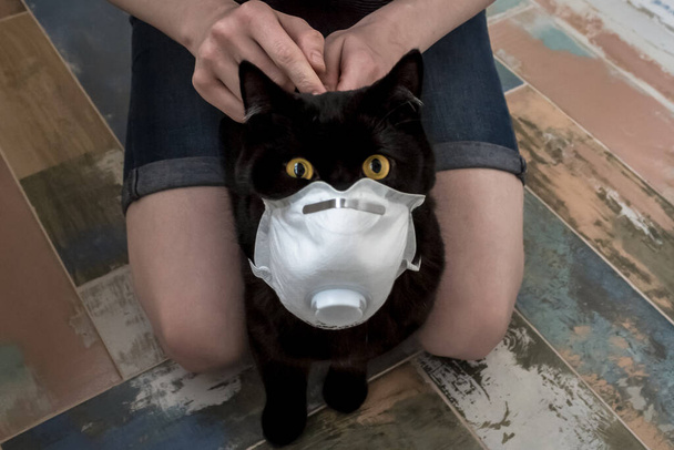 Die Wirtin setzt sich eine Schutzmaske auf - eine Atemschutzmaske für eine Hauskatze. Gute Hygiene während der Epidemie. Konzept: Humor, Panik. - Foto, Bild