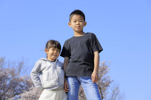 Японский брат и сестра и цветение вишни (10 лет мальчик и 5 лет девочка
) - Фото, изображение