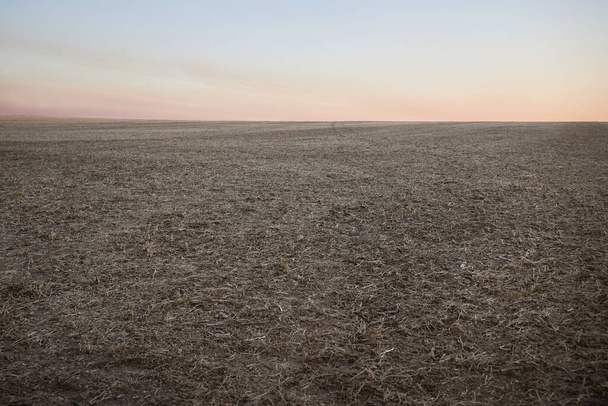 Dry hey beveled field in the autumn - Fotografie, Obrázek