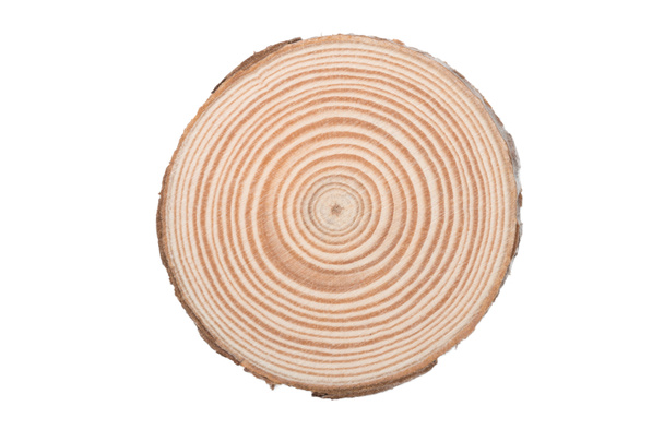 Drewniana powierzchnia cięcia drzewa izolowana na białym tle - Zdjęcie, obraz