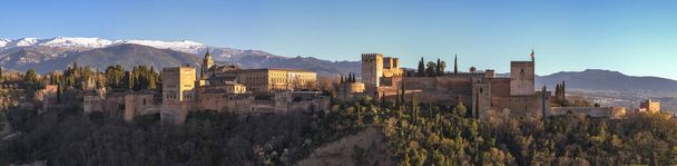 vista panorámica del Palacio de la Alhambra y Carlos V con un primer plano de vegetación y un fondo de montañas nevadas
,  - Foto, Imagen